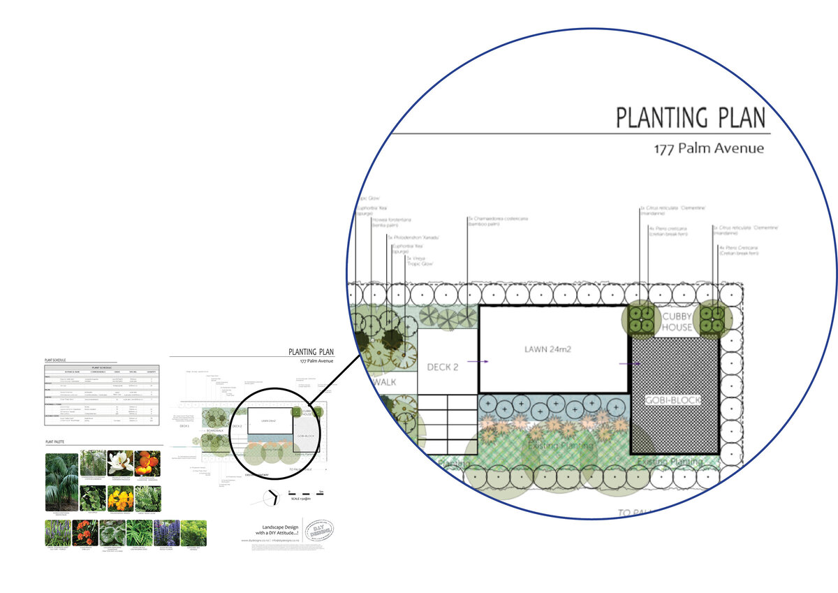 Planting plan or planting concept whats the difference? DIYdesigns